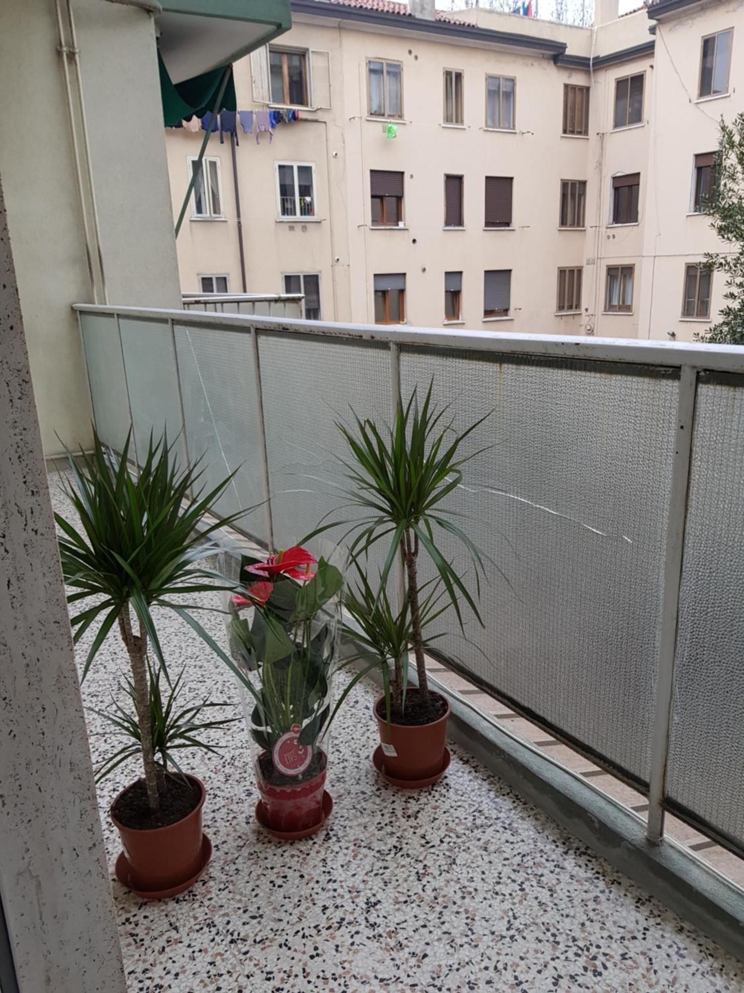 Venice Bnb Mestre Extérieur photo
